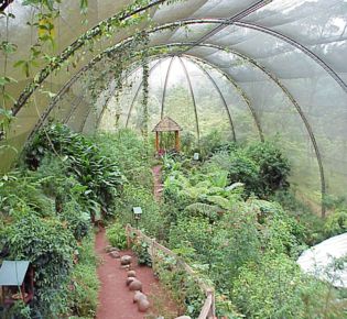 Butterfly Observatory, La Paz Waterfall Gardens Nature Park and Wildlife Refuge, Costa Rica
