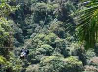 Experience the thrill of riding a zipline on EcoAdventures' Monteverde Rainforest Canopy & Sky Trek Tour, Costa Rica