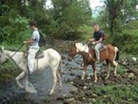 EcoAdventures' Half-Day La Fortuna Waterfall Horse Packing/Hiking Tour