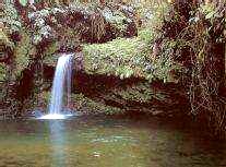Waterfall at Braulio Carrillo National Park, Costa Rica