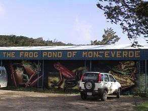 The Frog Pond of Monteverde, Costa Rica