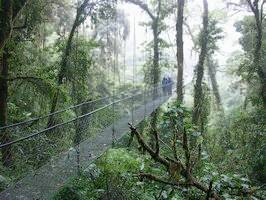 Monteverde Santa Elena Reserve Skywalk Tour