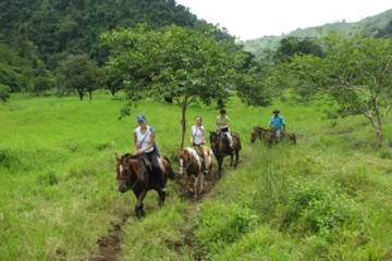 Travel through forest, trails and open fields on EcoAdventures' Monteverde Horseback Tour.