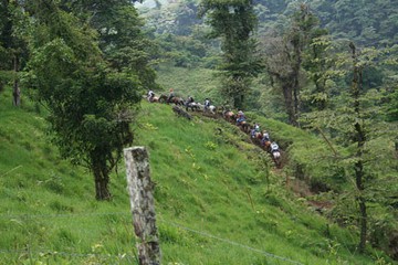 Enjoy the lush scenery of the primary and secondary forest on EcoAdventures' Monteverde Horseback Tour.