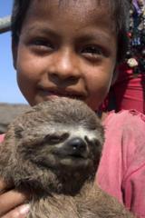 Village girl with three-toed sloth