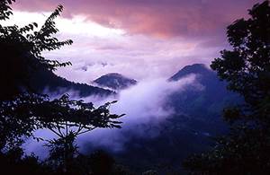Bellavista Cloud Forest Reserve, Ecuador