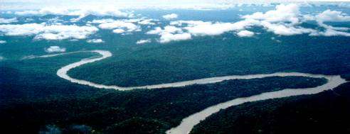Explore the twists and turns of the Amazon River on one of EcoAdventures' Amazon River Cruises