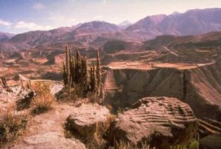 Colca Canyon, Peru