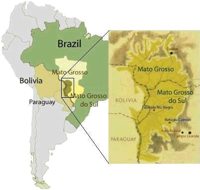 Pantanal Wildlife Sanctuary, Brazil