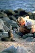 Baby sea lion discussing the day's activities with M/V Galapagos Legend guide.