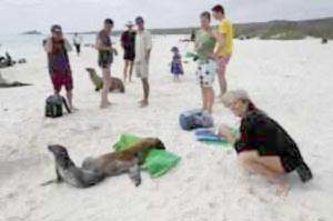 Meet the local residents on a shore excursion