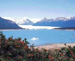 Perito Moreno Glacier, Lake Argentina