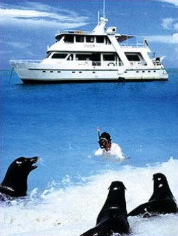 Diving Companions, M/Y Estrella Del Mar I