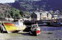Puerto Montt fishing boats