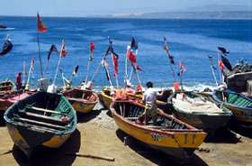 Valpariso fishing boats