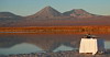 Desert Wine-Tasting, Alto Atacama Hotel & Spa, San Pedro de Atacama, Chile