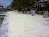 Seafront Area, Sunbreeze Suites Hotel, San Pedro Town, Ambergris Caye, Belize