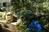 Pool & Spa Garden, Beacon Hotel & Resort, San Jose, Costa Rica
