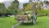 Cart, Posada de Don Rodrigo Hotel, Panajachel, Lake Atitlan, Guatemala