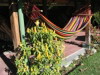 Hammock, Posada de Don Rodrigo Hotel, Panajachel, Lake Atitlan, Guatemala