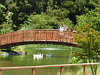 Bridge & Pond, La Casona Vina Matetic Hotel, Lagunillas, Casablanca, Chile Bridge & Pond, La Casona Vina Matetic Hotel, Lagunillas, Casablanca, Chile