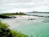 Sea Lion Beach, Red Mangrove Lava Lodge Hotel, Floreana Island, Galapagos Islands