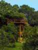 Bird-Watching Tower, Mopan River Resort, Cayo District, Belize