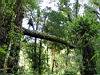 Hiking in the Forest, Hotel Puelche, Lake Llanquihue, Puerto Varas, Chile