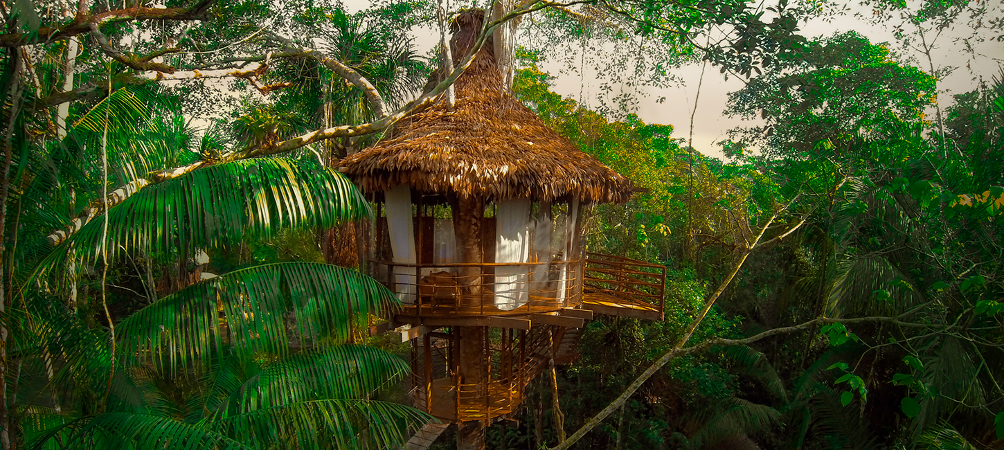 Treehouse Five-Bamboo House, Treehouse Lodge, San Juan Bautista Iquitos, Loreto, Peru