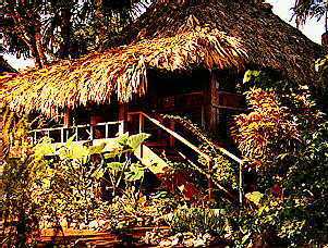 Standard Thatched-Roof Cabin, Lamanai Outpost Lodge, Orange Walk, Belize