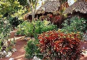 Walkway to Cabins, Lamanai Outpost Lodge, Orange Walk, Belize