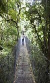 Arenal Hanging Bridge, Costa Rica