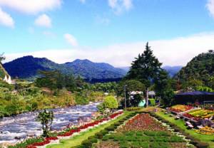 Chiriqui Highlands, Panama