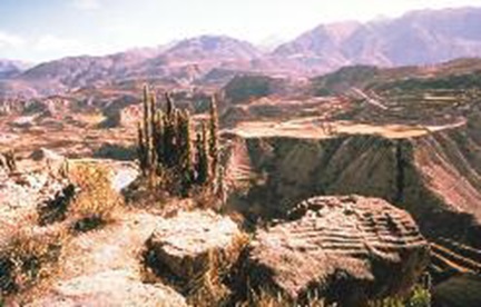 Colca Canyon, Peru