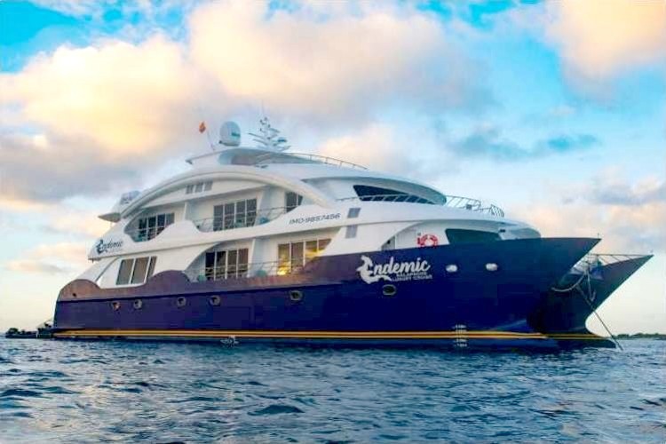 Galapagos Luxury Catamaran M/C Endemic