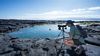 Wildlife Observations, Yacht M/Y Isabela II Galapagos Islands