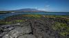 Lava Field, Yacht M/Y Isabela II Galapagos Islands