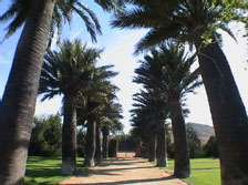 Bisquertt Winery driveway, Chile