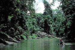 Tambopata River, Peru