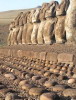 Moai Looking Out To Sea, Altiplanico Rapanui Hotel, Easter Island