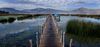 Boardwalk to Lake, Casa Andina Private Collection Hotel, Puno, Lake Titicaca, Peru