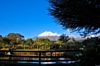 Cotopaxi Volcano, Hacienda San Agustin de Callo Hotel, Cotopaxi, Ecuador