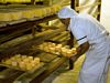 Cheese Factory, Hacienda Zuleta Hotel, Avenue of the Volcanoes, Imbabura, Ecuador
