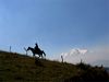 Riding To Ventanas, Hacienda Zuleta Hotel, Avenue of the Volcanoes, Imbabura, Ecuador