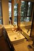 Bathroom Sinks, Mashpi Lodge, Chocó Cloud Forest, Calacali, Ecuador