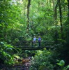 Hiking Trail, Pacuare Lodge, Pacuare River, Costa Rica