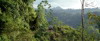Jungle Mountain Road to Pacuare Lodge, Pacuare River, Costa Rica