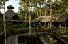 Boat Dock, Sacha Lodge, Napo River, Coca, Ecuador