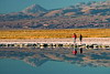 Salar (Salt Flat) Excursion, Tierra Atacama Hotel & Spa, San Pedro de Atacama, Chile Salar (Salt Flat) Excursion, Tierra Atacama Hotel & Spa, San Pedro de Atacama, Chile