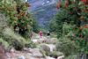 Hiking, Tierra Patagonia Hotel & Spa, Paine National Park, Chile